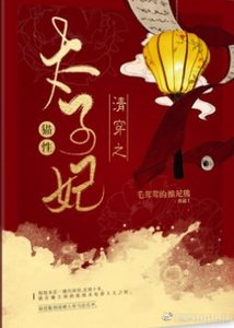 清穿之貓性太子妃